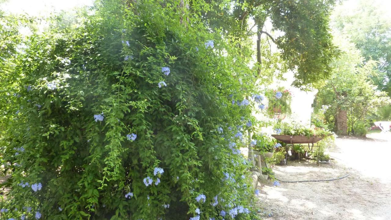 Il Trullo Del Cadetto Ferienhaus Francavilla Fontana