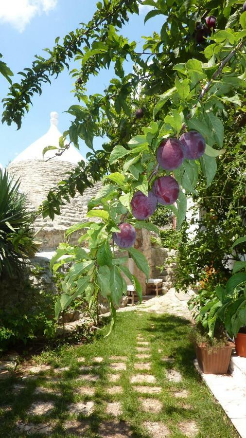 Il Trullo Del Cadetto Francavilla Fontana